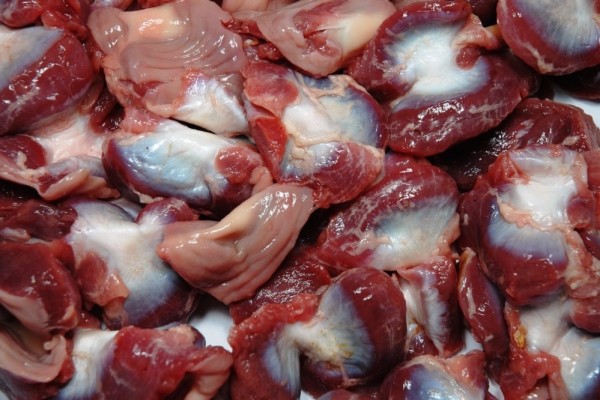 Frozen Chicken Gizzard for sale