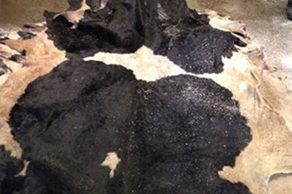 WET SALTED COW HIDES